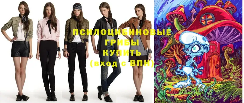 Псилоцибиновые грибы Psilocybe Княгинино